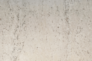 ANDROMEDA WHITE