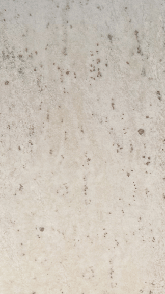 ANDROMEDA WHITE