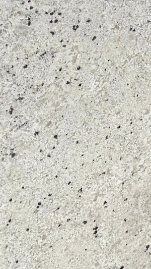 NEW COLONIAL CREAM
