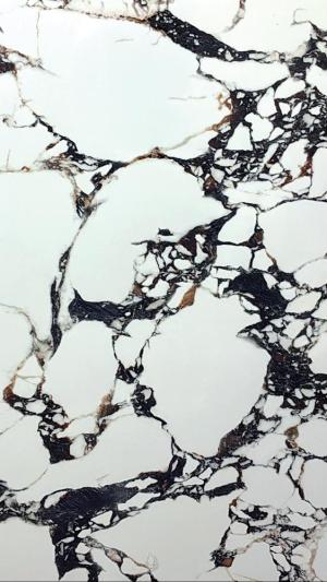CALACATTA VIOLA NOIR